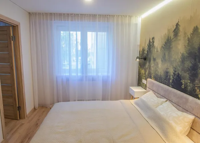 Apartament And Relaxing Druskieniki